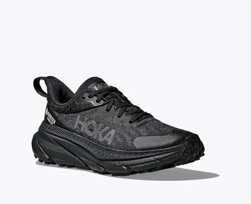 Challenger 7 GORE-TEX coloris Black / Black, vue 6